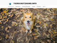tierschutzhund.info Webseite Vorschau