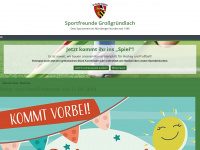 sfg-sport.de Webseite Vorschau