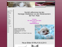 norweger-waldkatzen-von-den-weidenaeckern.de Webseite Vorschau