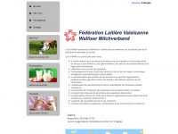 flv.ch Webseite Vorschau