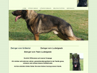 schaeferhundevomludwigseck.de Webseite Vorschau