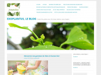 exoplantus.wordpress.com Webseite Vorschau