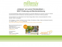 mintensiv.de Webseite Vorschau