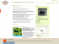 naturbeobachtung.at Webseite Vorschau