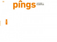 pings.de Webseite Vorschau