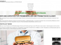 prismabrille.de Webseite Vorschau