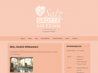 salzgrotte-am-fehn.de Webseite Vorschau