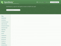 openresty.org Webseite Vorschau