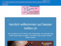 besser-treffen.ch Webseite Vorschau