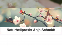 naturheilpraxis-anjaschmidt.de Thumbnail