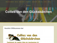 collies-von-den-glücksbärchen.de Webseite Vorschau