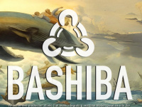 bashiba.com Webseite Vorschau
