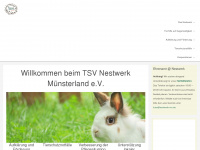 nestwerk-ms.de Webseite Vorschau