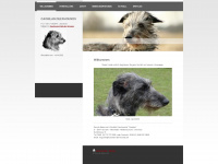 caoinlan-deerhounds.de Webseite Vorschau