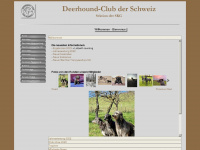 deerhoundclubschweiz.ch Webseite Vorschau