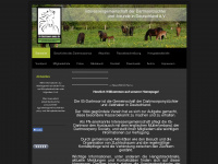ig-dartmoor-pony.de Webseite Vorschau