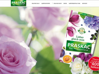 praskac.at Webseite Vorschau