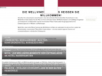 wellviness.de Webseite Vorschau