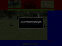 lockwitzer-hundesport.de Webseite Vorschau