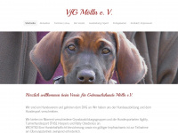 hundeausbildung-vfg-moelln.de Thumbnail