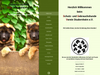 sgvstudernheim.de Webseite Vorschau