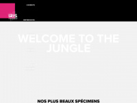 iris-interactive.fr Webseite Vorschau
