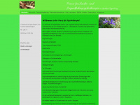 psychotherapie-leinberger.de Webseite Vorschau