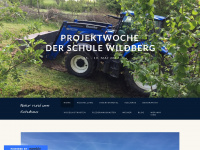 projektwoche-wildberg-2017.weebly.com Webseite Vorschau