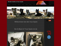 true-opals.ch Webseite Vorschau