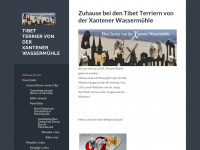 tibet-terrier-von-der-xantener-wassermuehle.de Webseite Vorschau