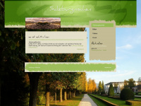 salzburgnischen.at Webseite Vorschau