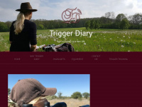 triggerdiary.com Webseite Vorschau