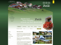 zele.it Webseite Vorschau