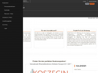 projekt-profi.pl Webseite Vorschau