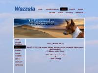 wazzala.de Webseite Vorschau