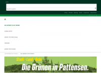 gruene-pattensen.de Webseite Vorschau