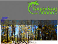 limoniumcanarias.com Webseite Vorschau