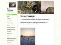 kleinefreunde.ch Webseite Vorschau