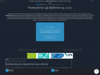 baltimer.pl Webseite Vorschau