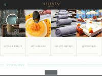 selentagroup.com Webseite Vorschau