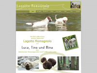 lagotto-trueffelsuchhund.de Webseite Vorschau