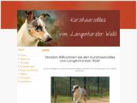 langenhorsterwaldcollie.de Webseite Vorschau