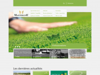 masterline-gazons.fr Webseite Vorschau
