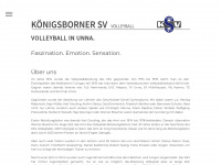 ksv-volleyball.de Webseite Vorschau