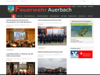 ff-auerbach.de Thumbnail