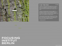 focusing-institut-berlin.de Webseite Vorschau