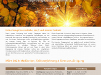 medise.de Webseite Vorschau
