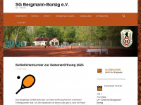 bergmann-borsig-tennis.de Webseite Vorschau
