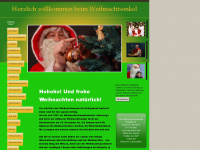 weihnachtsonkel.de Webseite Vorschau