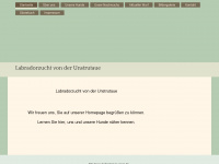 labradorzucht-von-der-unstrutaue.de Webseite Vorschau